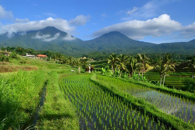 UNESCO Jatiluwih Rice Terrace and Tanah Lot Sunset Tour - Key Highlights You Should Know