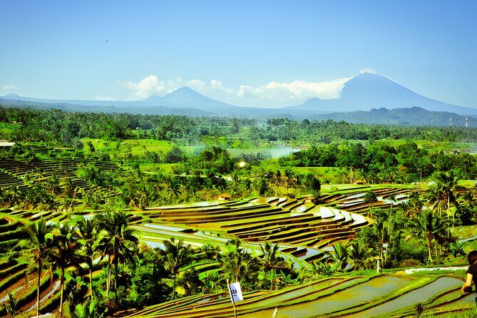 UNESCO Jatiluwih Rice Terrace and Tanah Lot Sunset Tour - Penatahan Hot Springs Kaja: Warm Water and a River-Adjacent Main Pool