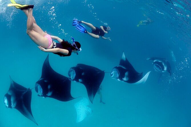 VIP Private Boat to Nusa Penida: Snorkeling with Mantas + Land Tour Adventure - Price and value: is $849 per person reasonable?