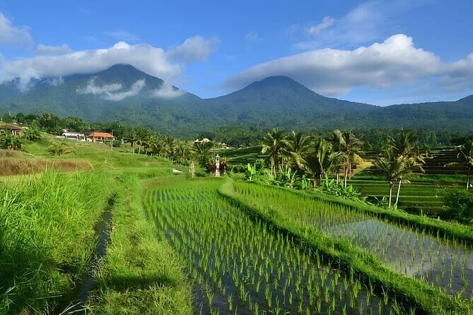Waterfall Tour: North Bali Best Waterfalls - Photo and Drone-Style Footage Tips for These Three Stops