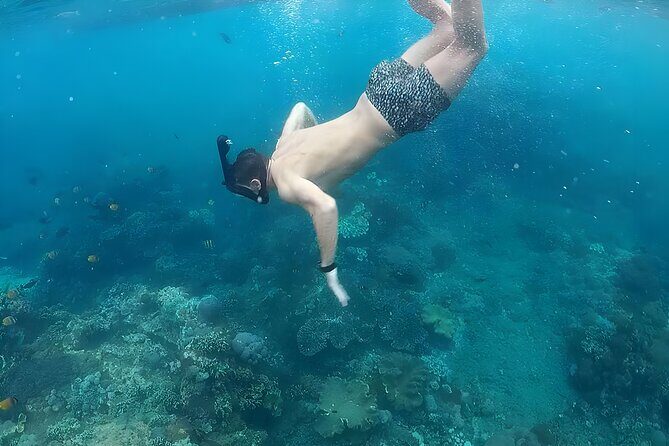 West Nusa Penida Island Snorkeling Tour - From Bali Island - Bali to Penida with air-conditioning and a sharing speedboat